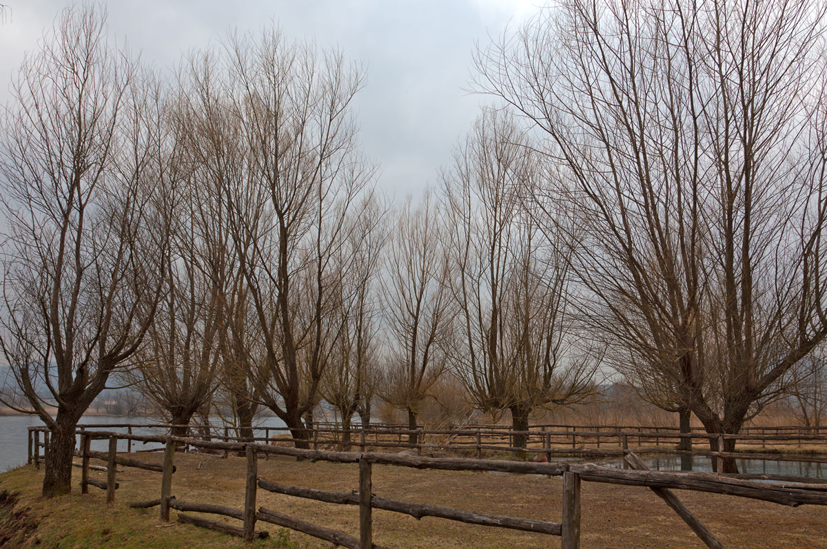LAGO DI POSTA FIBRENO - SCORCIO PANORAMICO -
