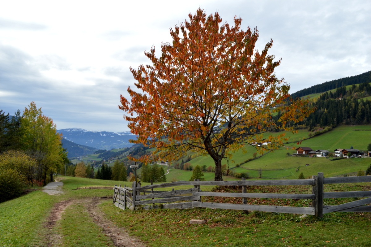 Santa Magdalena Funes