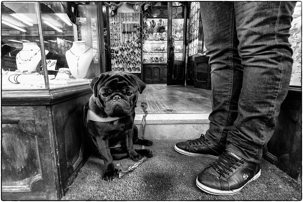 Benito...(da medaglietta)  il bodyguard