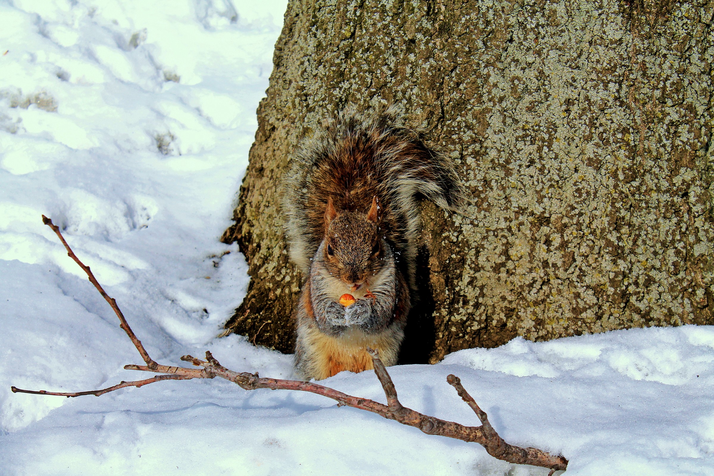 ... Ummm ... that good !!!