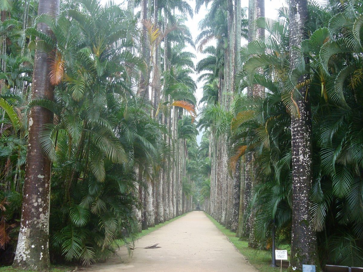 I colori della natura