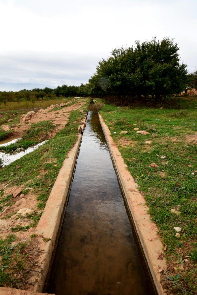 Valle della Bekaa ( Libano ) Nov 2014