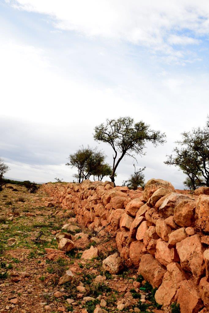 Valle della Bekaa ( Libano ) Nov 2014