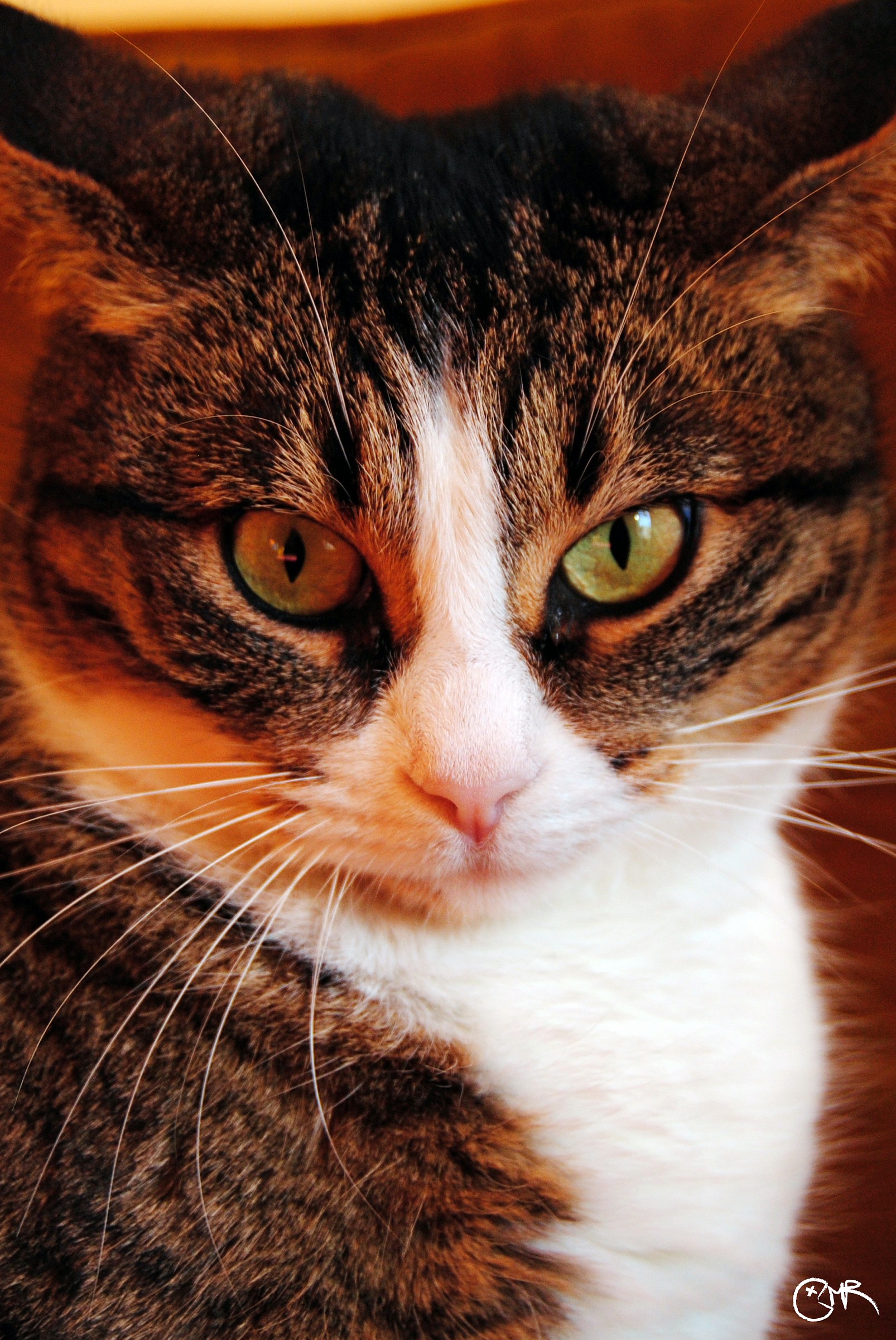 Alice in the living room