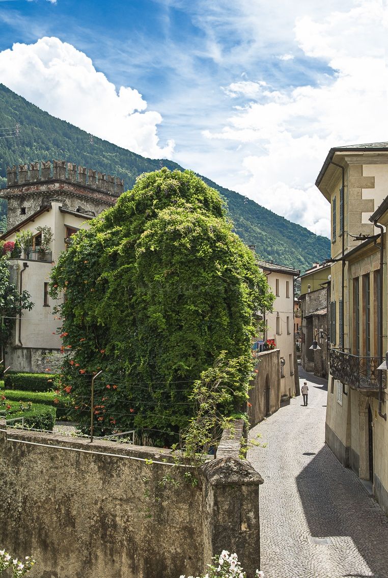 Via Torelli con l'omonimo palazzo (Tirano)