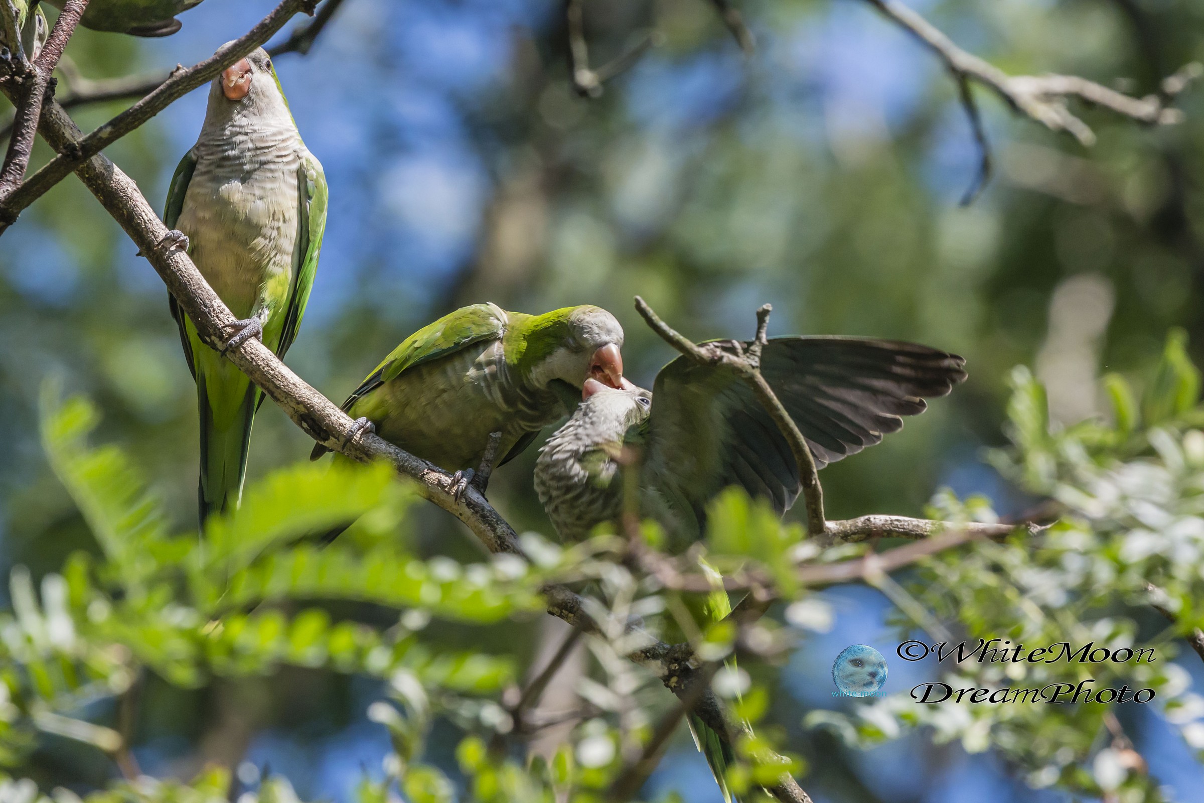 Un amore difficile....