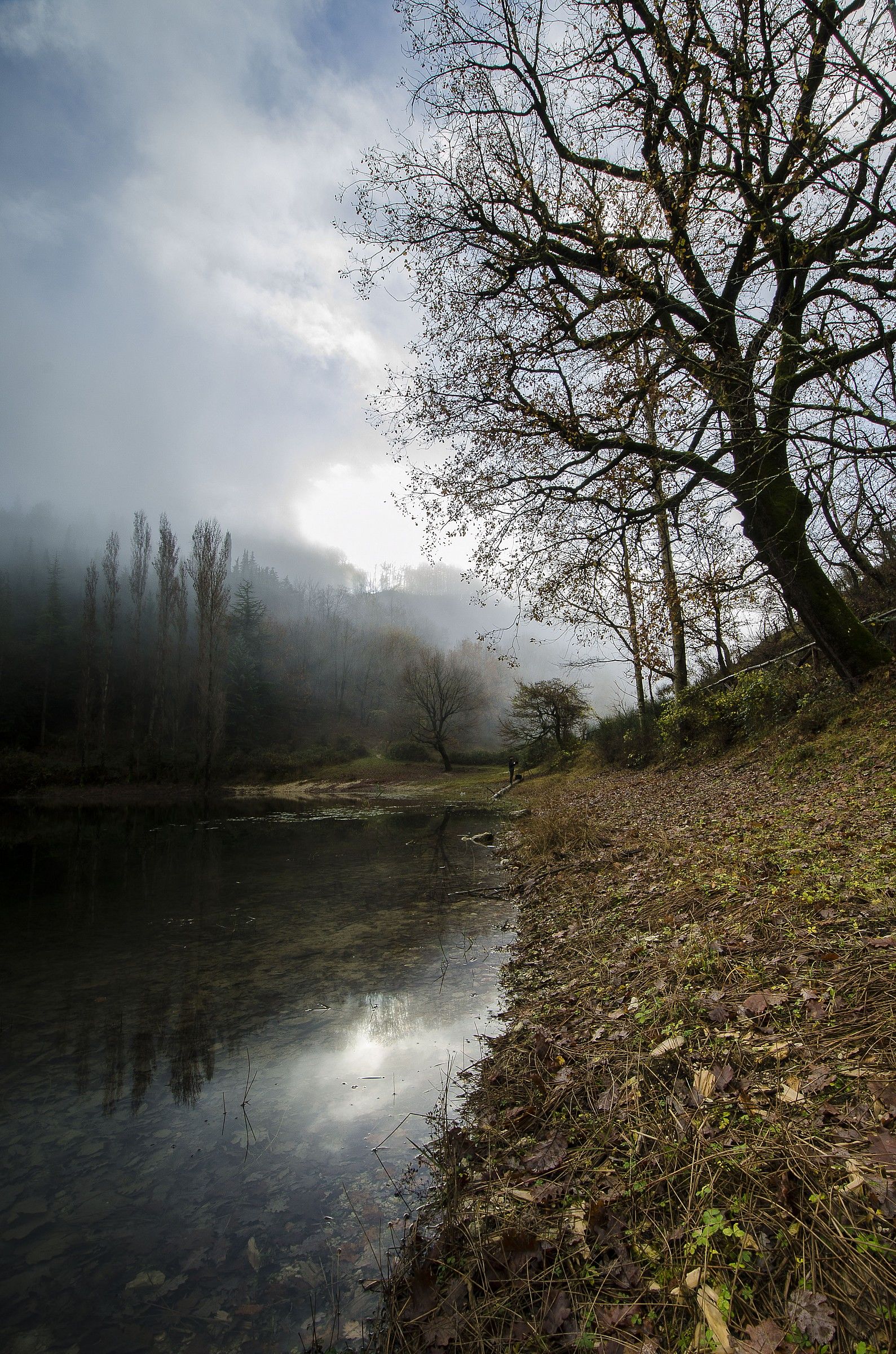 In giro nella natura 3
