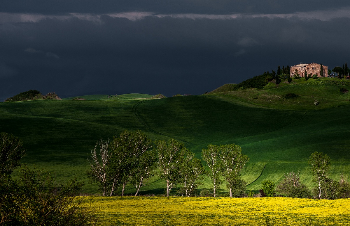 Sulla strada per Asciano ...