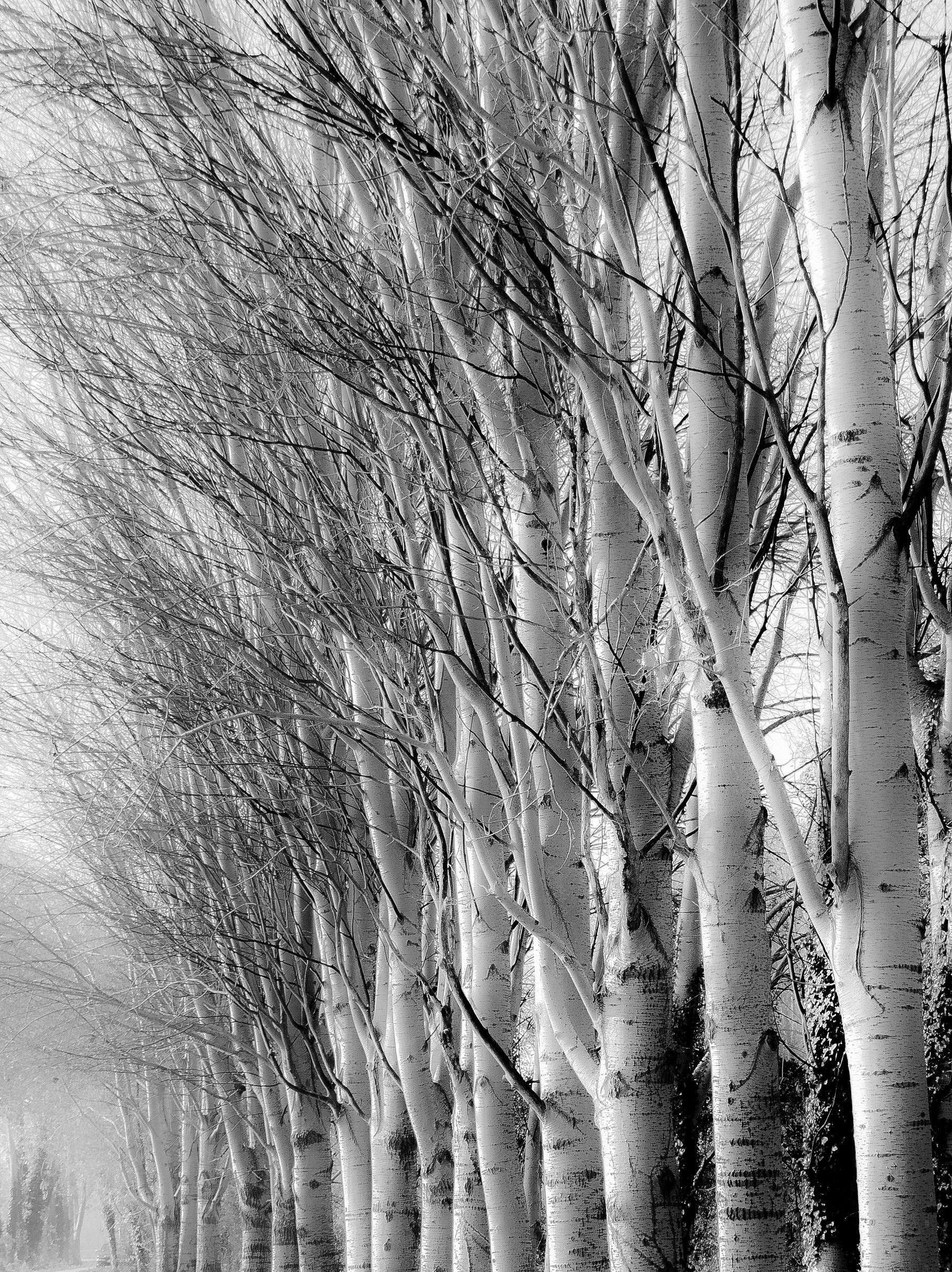 Waiting for the cold