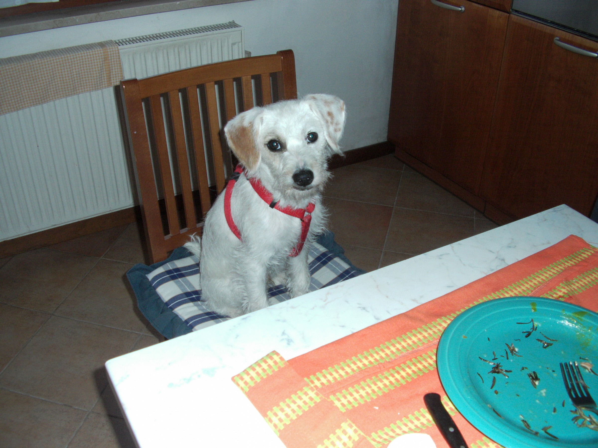 posso averne ancora?