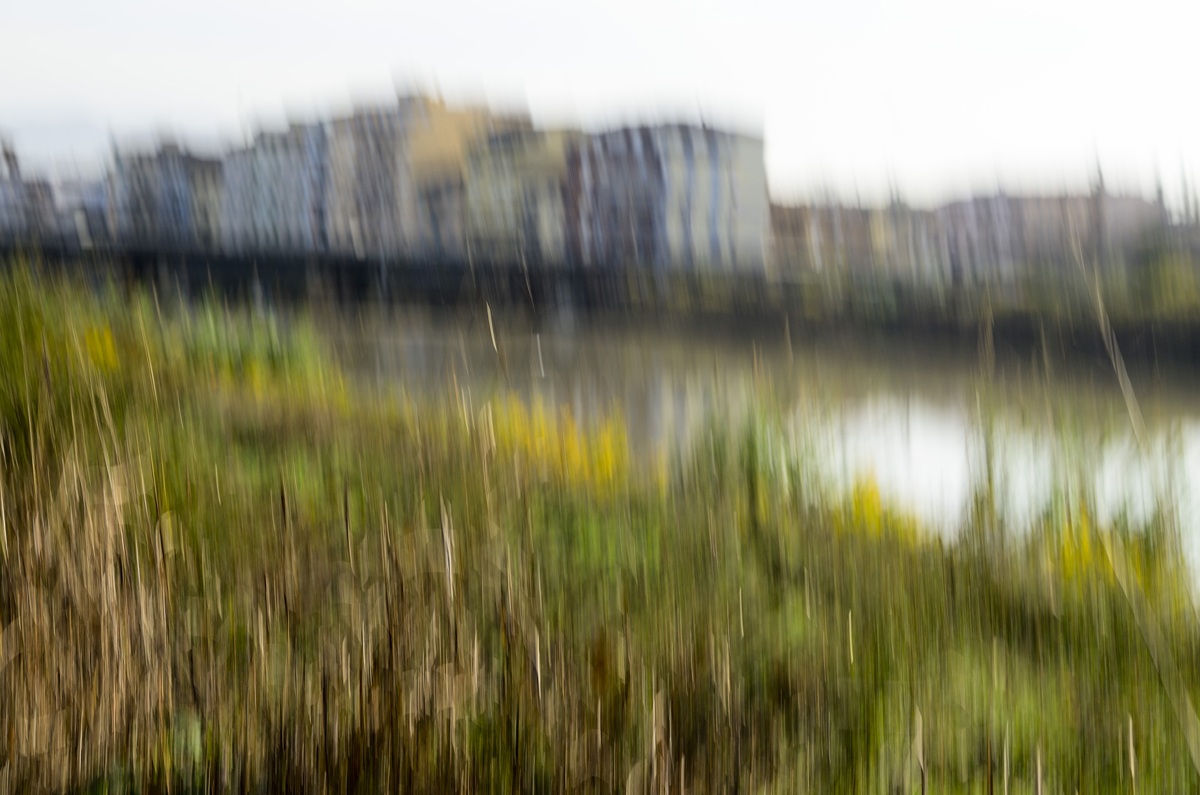 Impressions of autumn