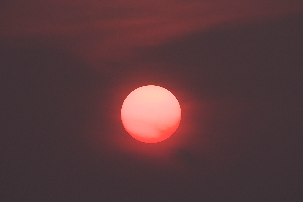 Sun