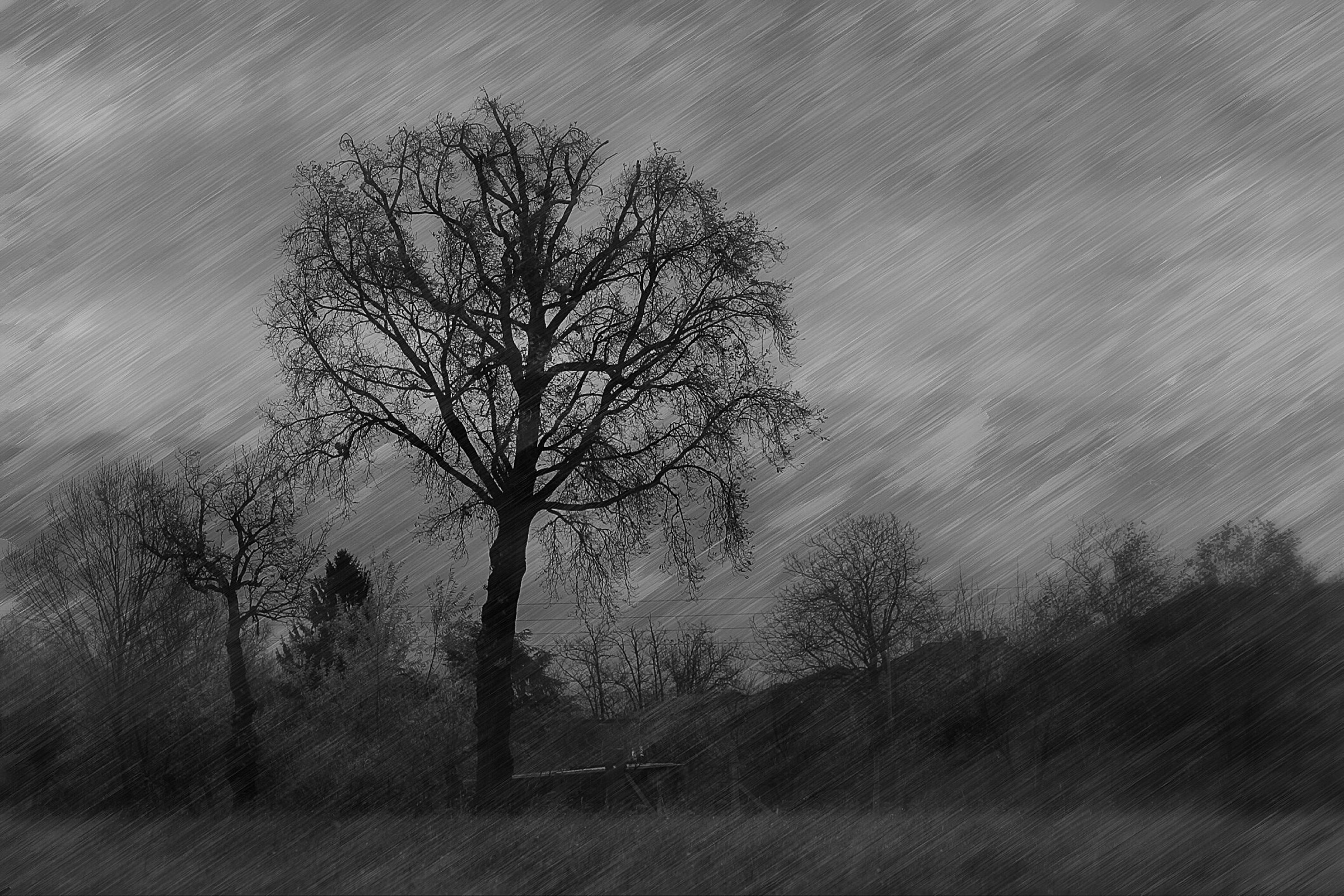 Il Canto degli alberi tristi