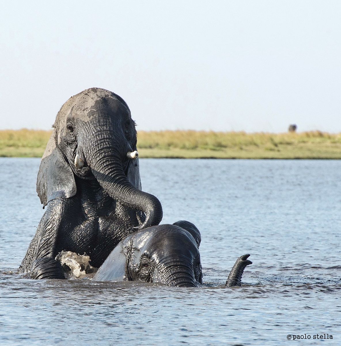 games ..... water - 2