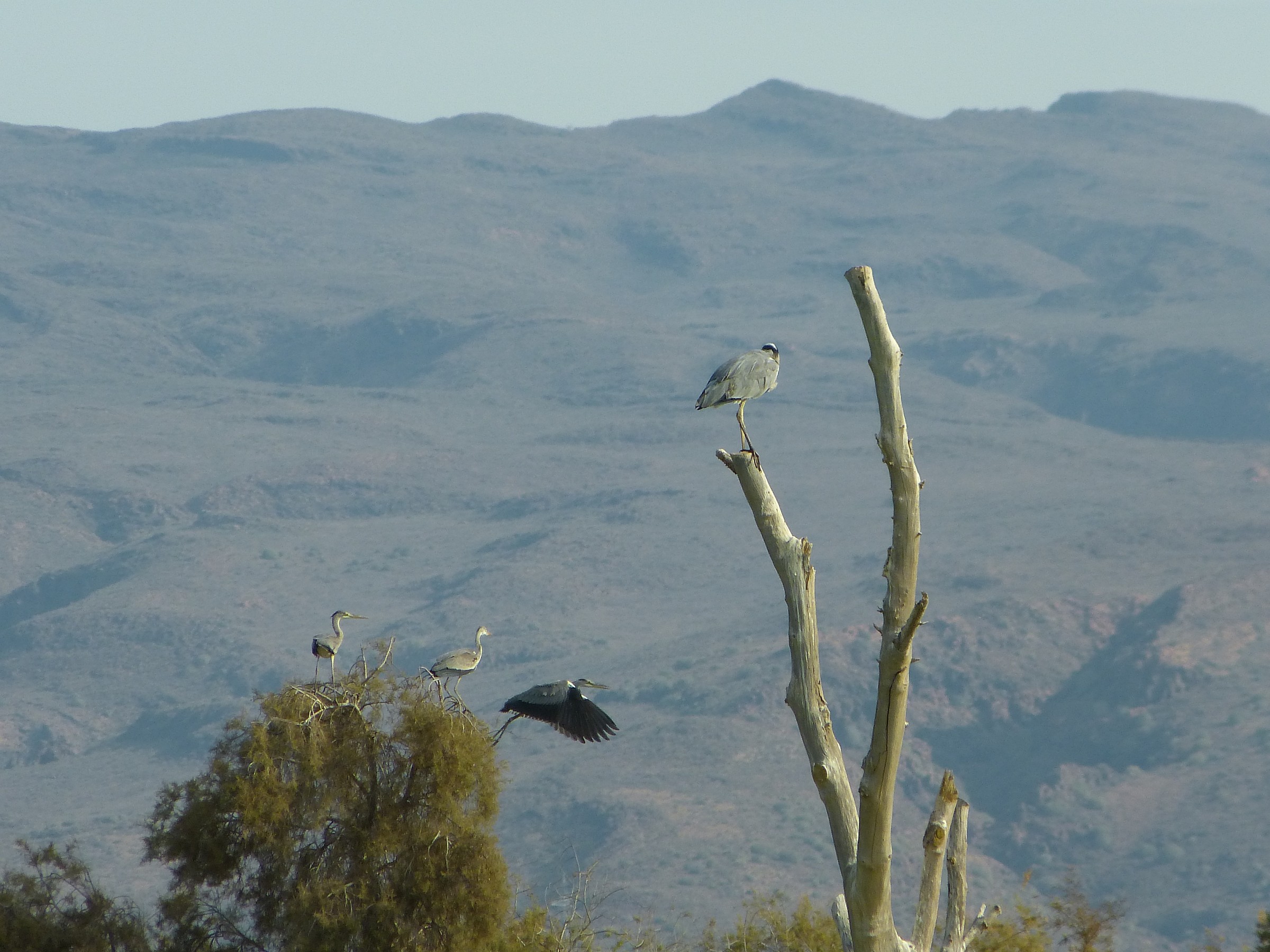 detaching the flight