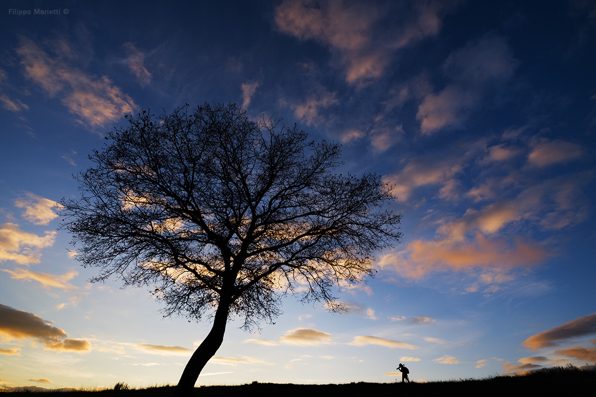 How many emotions can give nature?