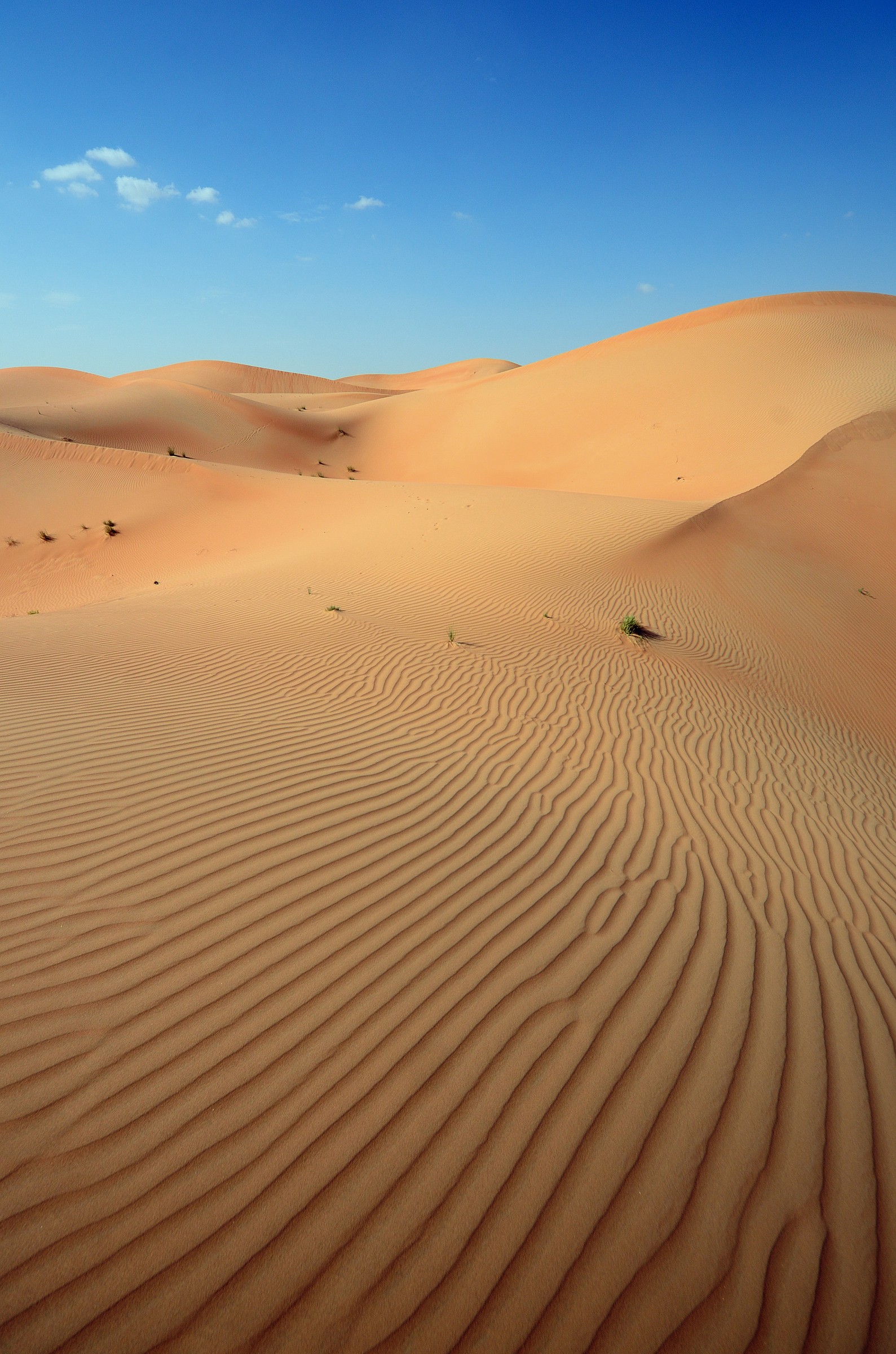 Dune, penisola arabica