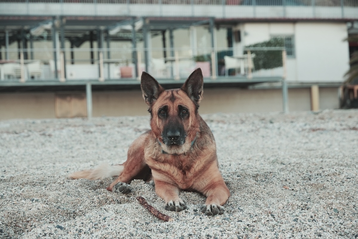 Serious and composed ..