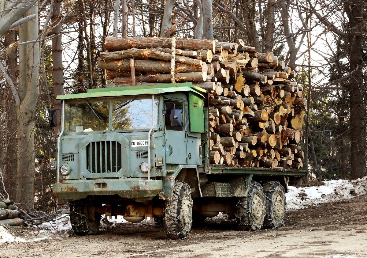 The winter at the gates