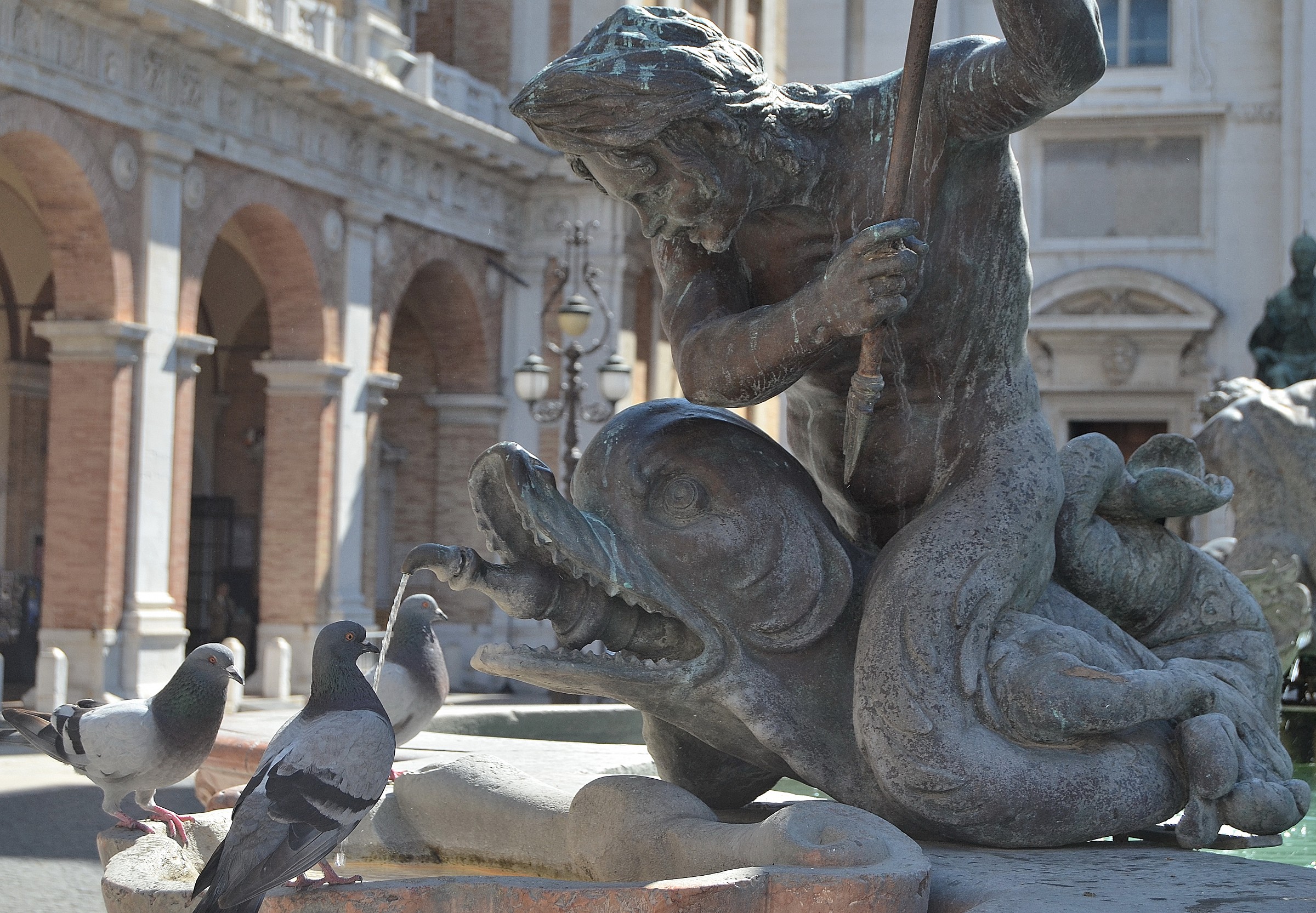 Andate via! Stupidi Piccioni !