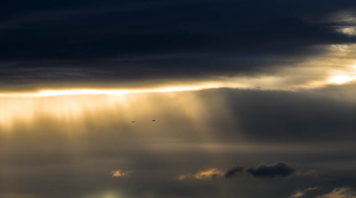 In flight from the balcony ....