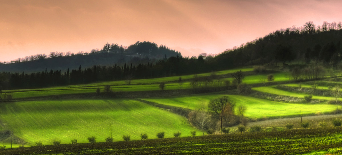 light of the countryside