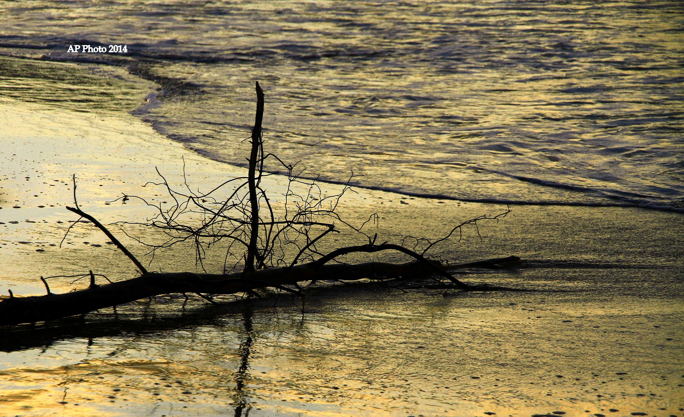 Silhouette -Balestrate