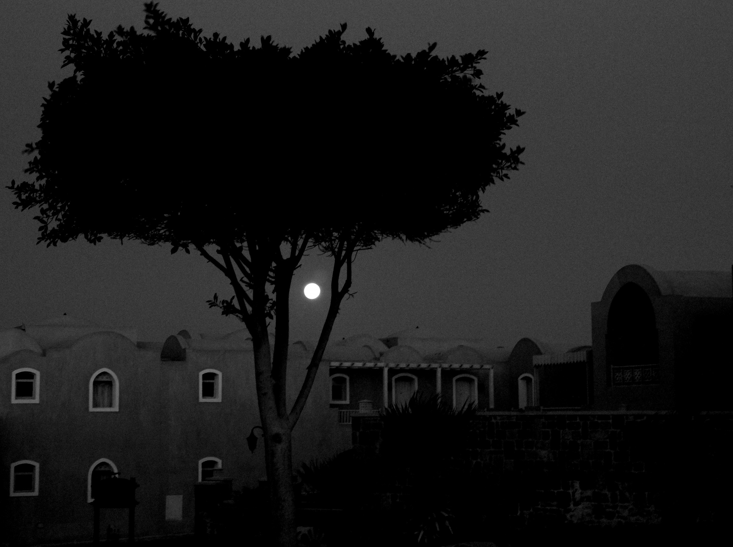 The moon comes from ...