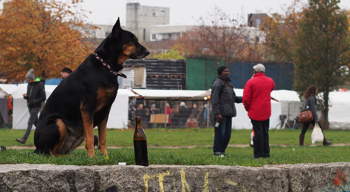 Berliner (Berlinesi)