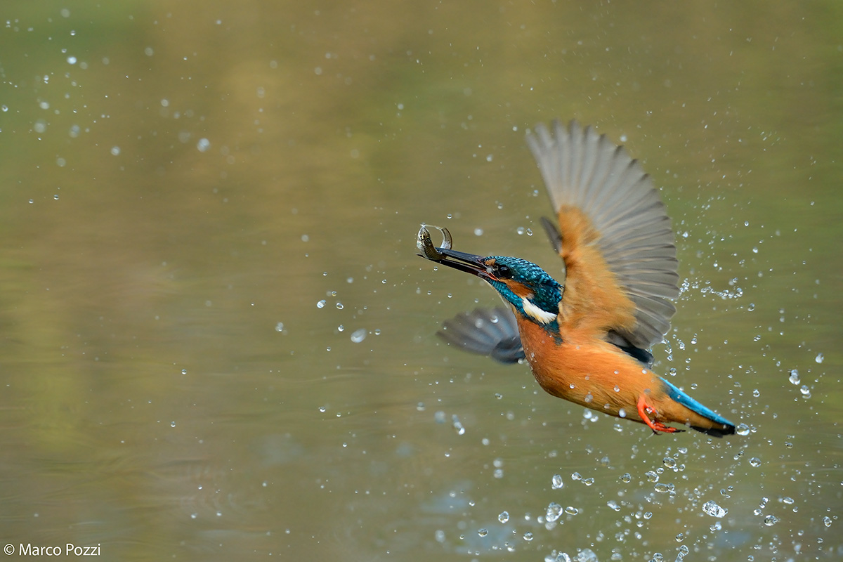 this time to the left ...