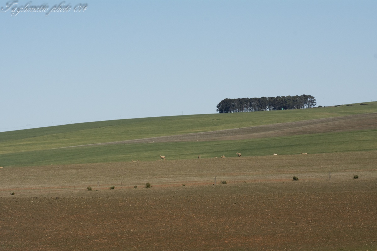 Tuscany in South Africa