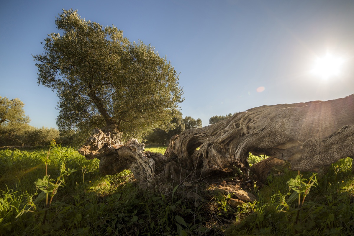 I'm here, you beyond