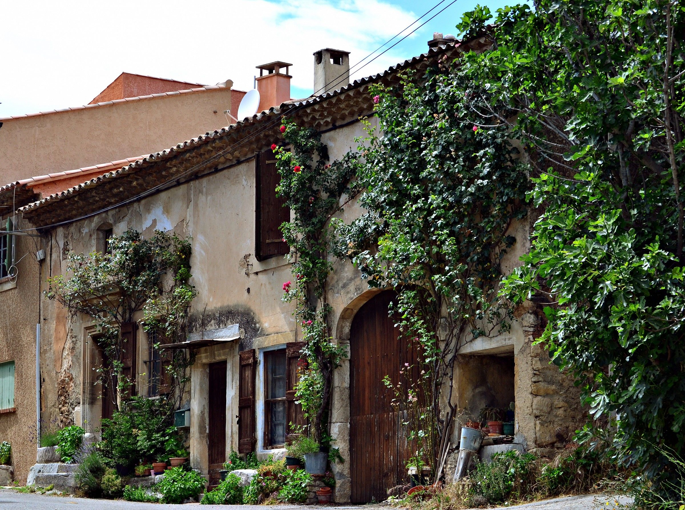Provencal farmhouse