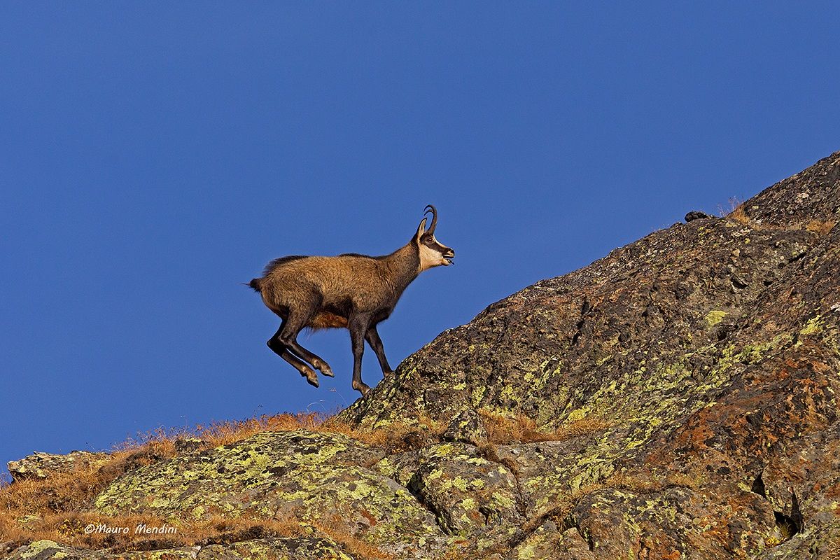 Effetti dello sballo del sabato sera