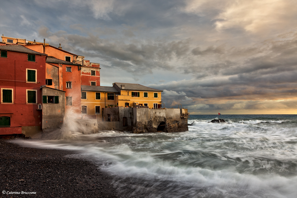 The sea and its music - photo exhibition