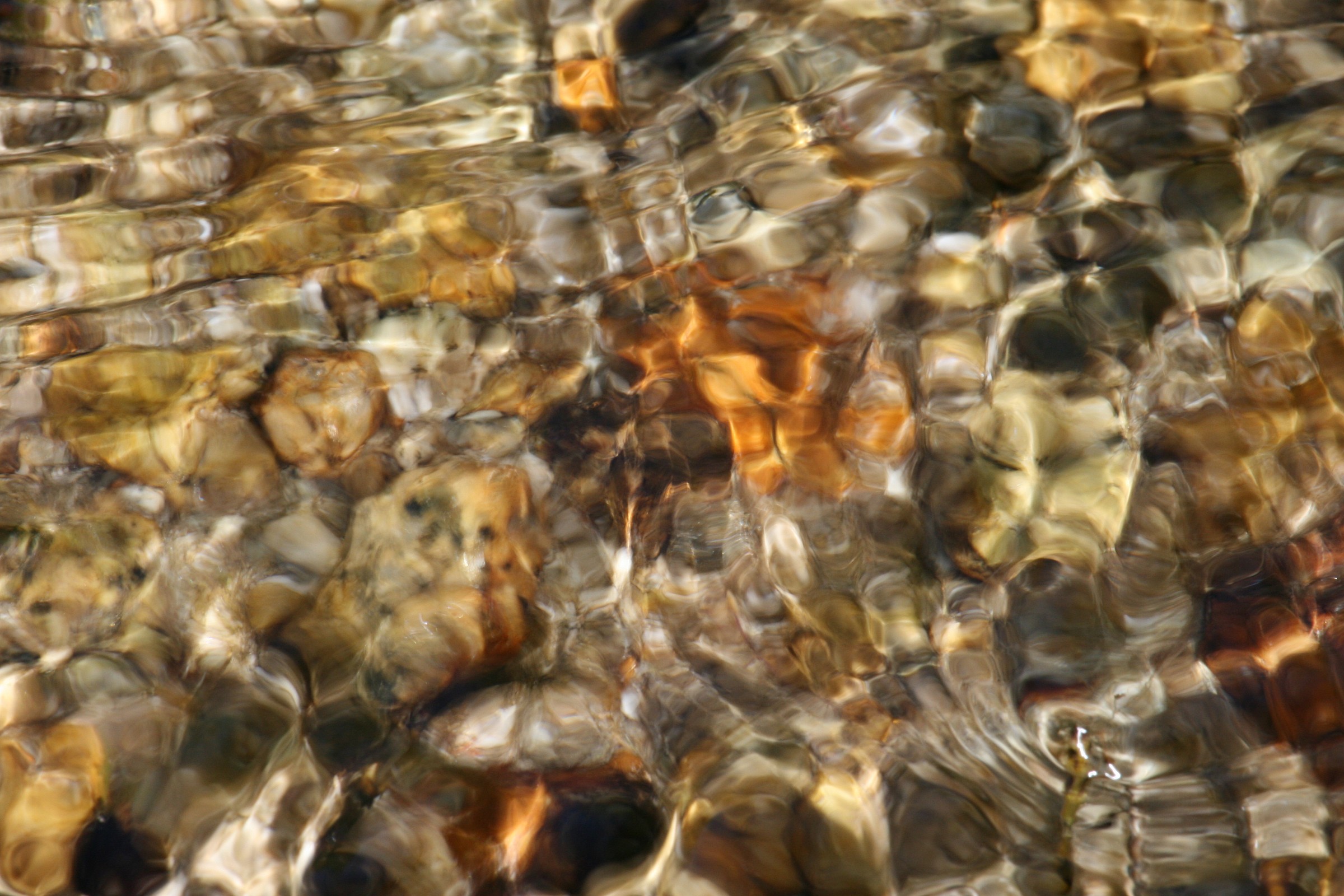 ... Shape, movement, etc.