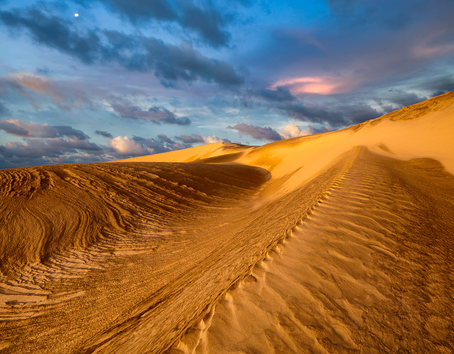 Dune dopo la pioggia