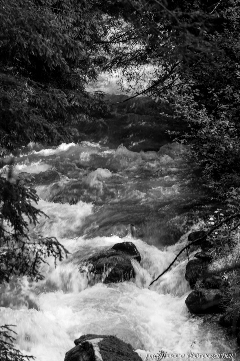 Nei Boschi di Valles