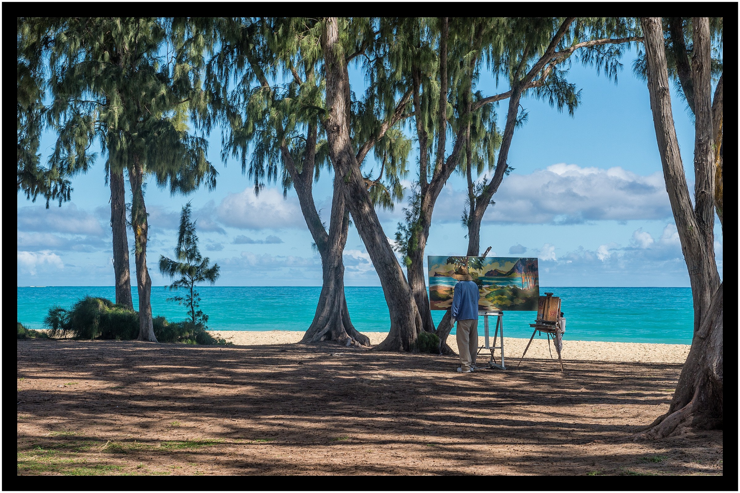 Palette Tropical ...