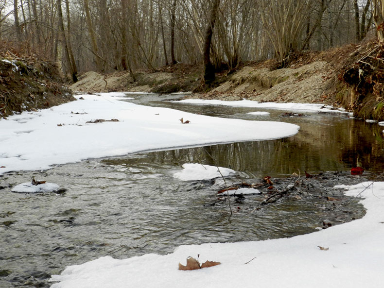 snow water nikon p500