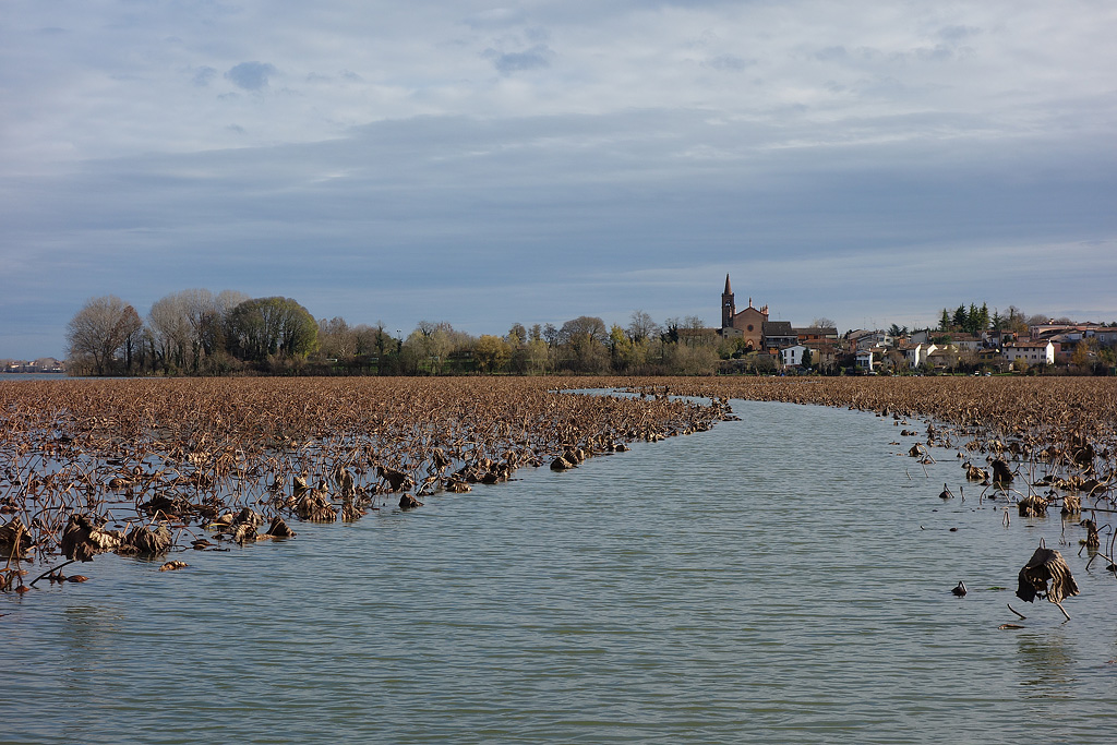 The path in the lake
