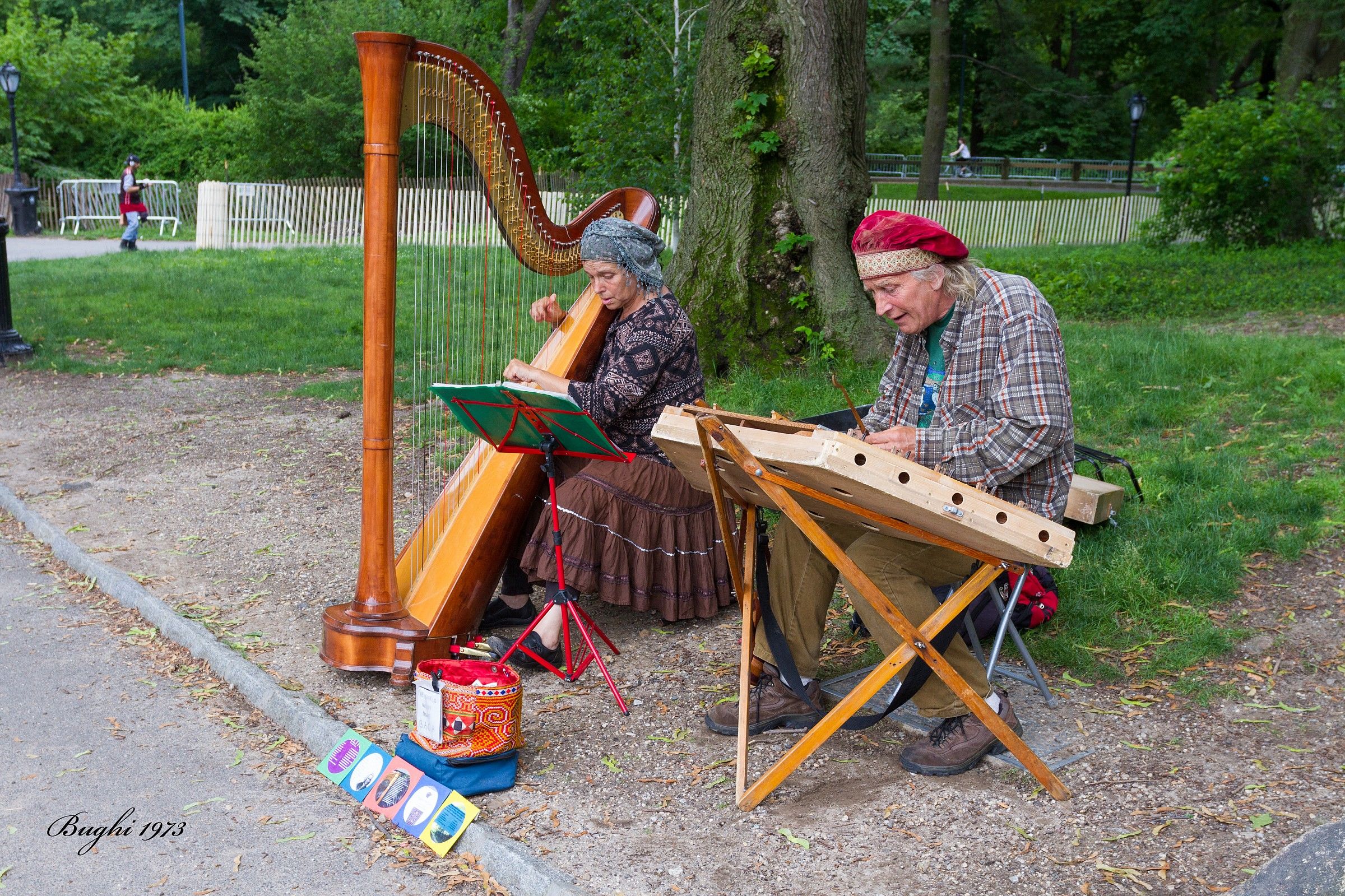 Artisti a Central Park