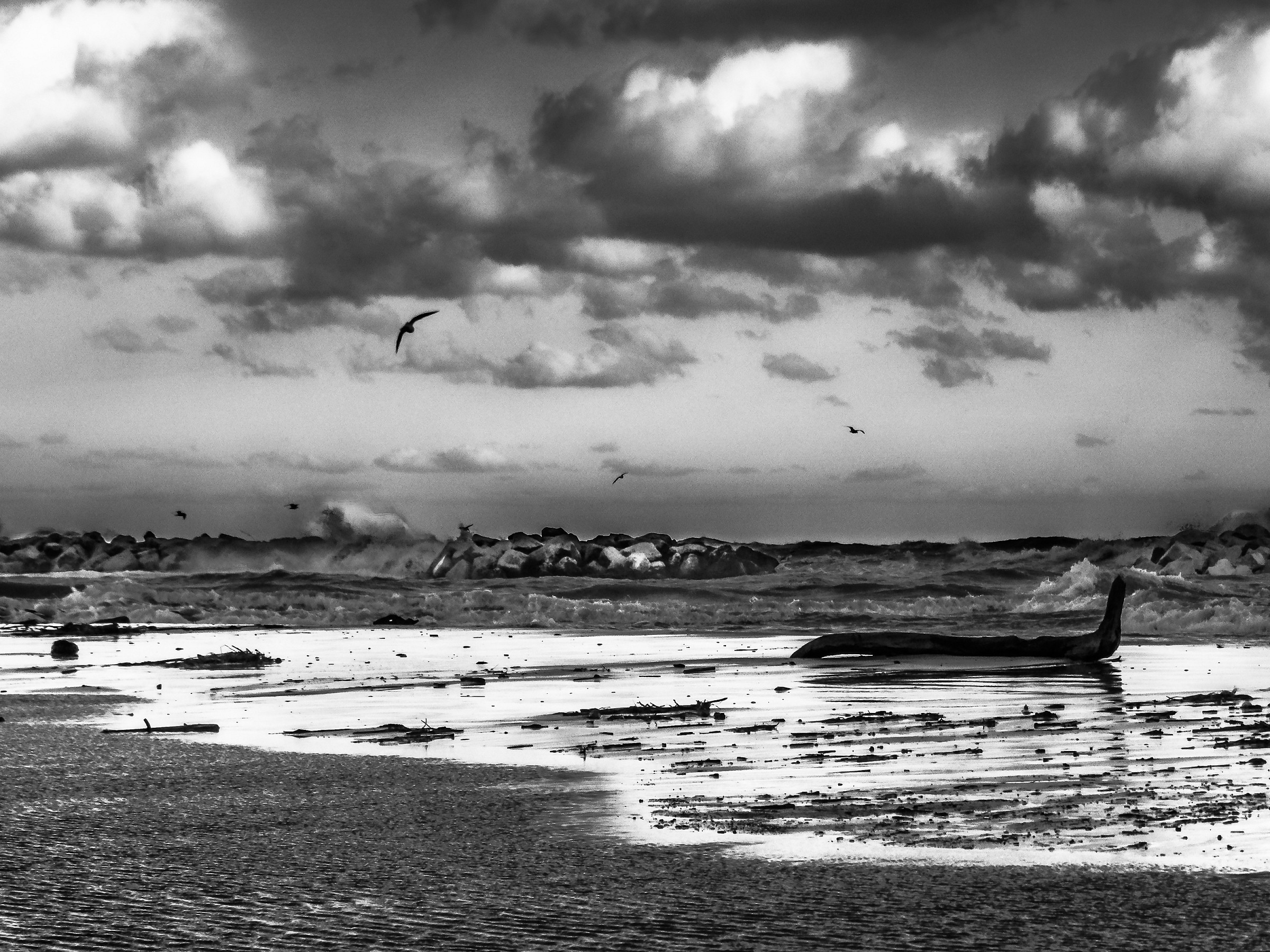 requiem post tempestatem