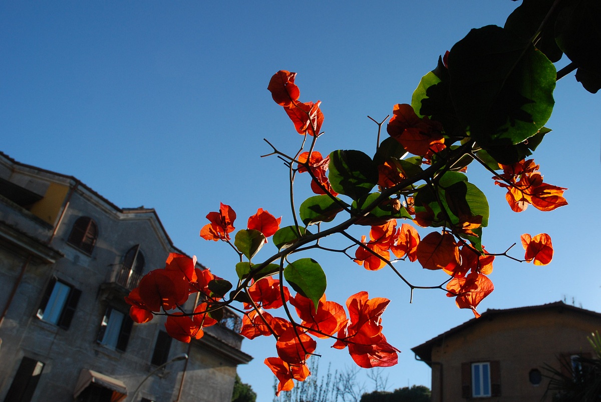 Garbatella mon amour