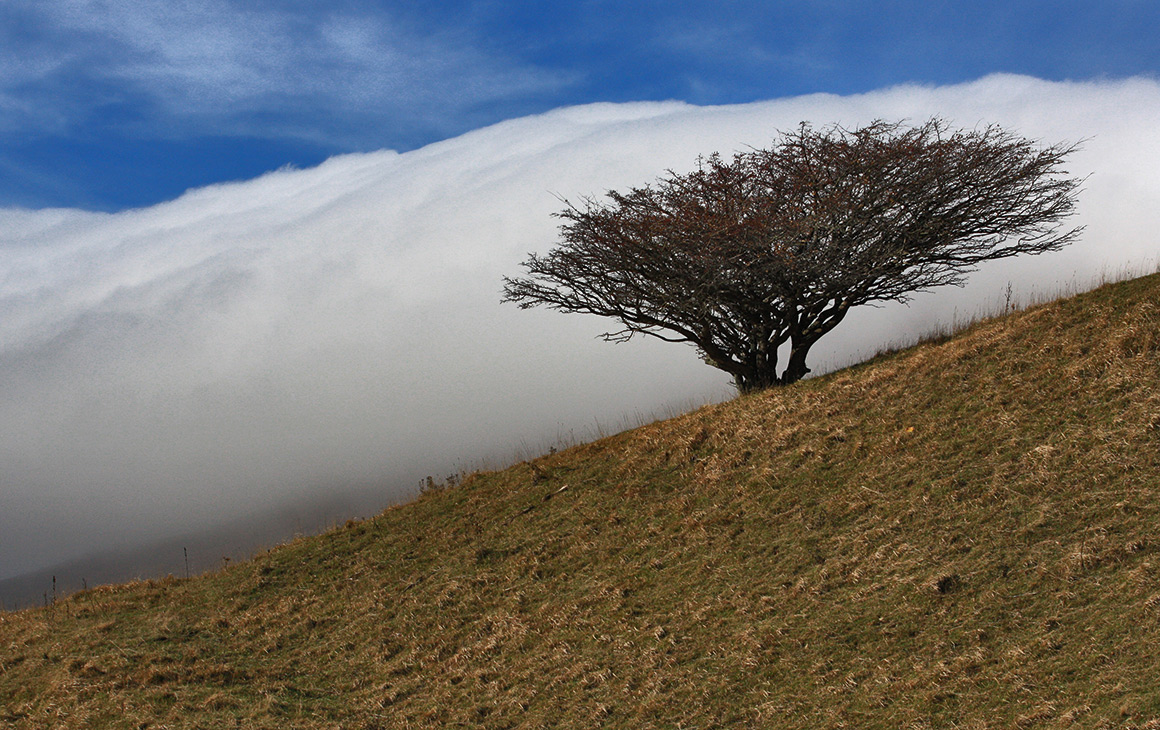 The shape of the wind