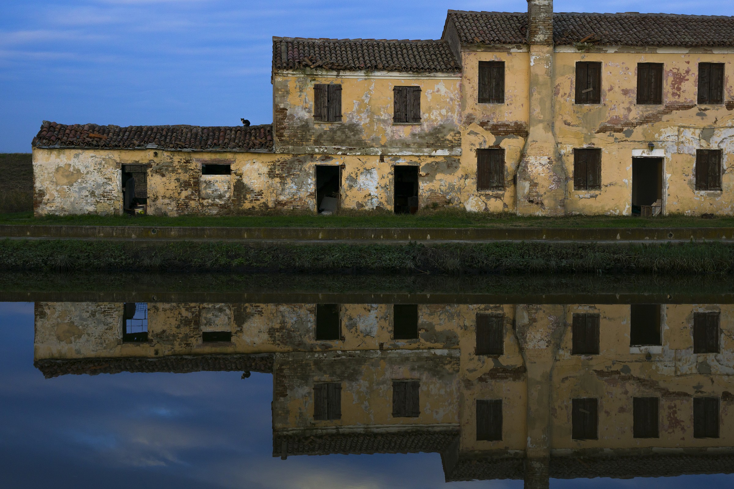 La gatta sul tetto che scotta