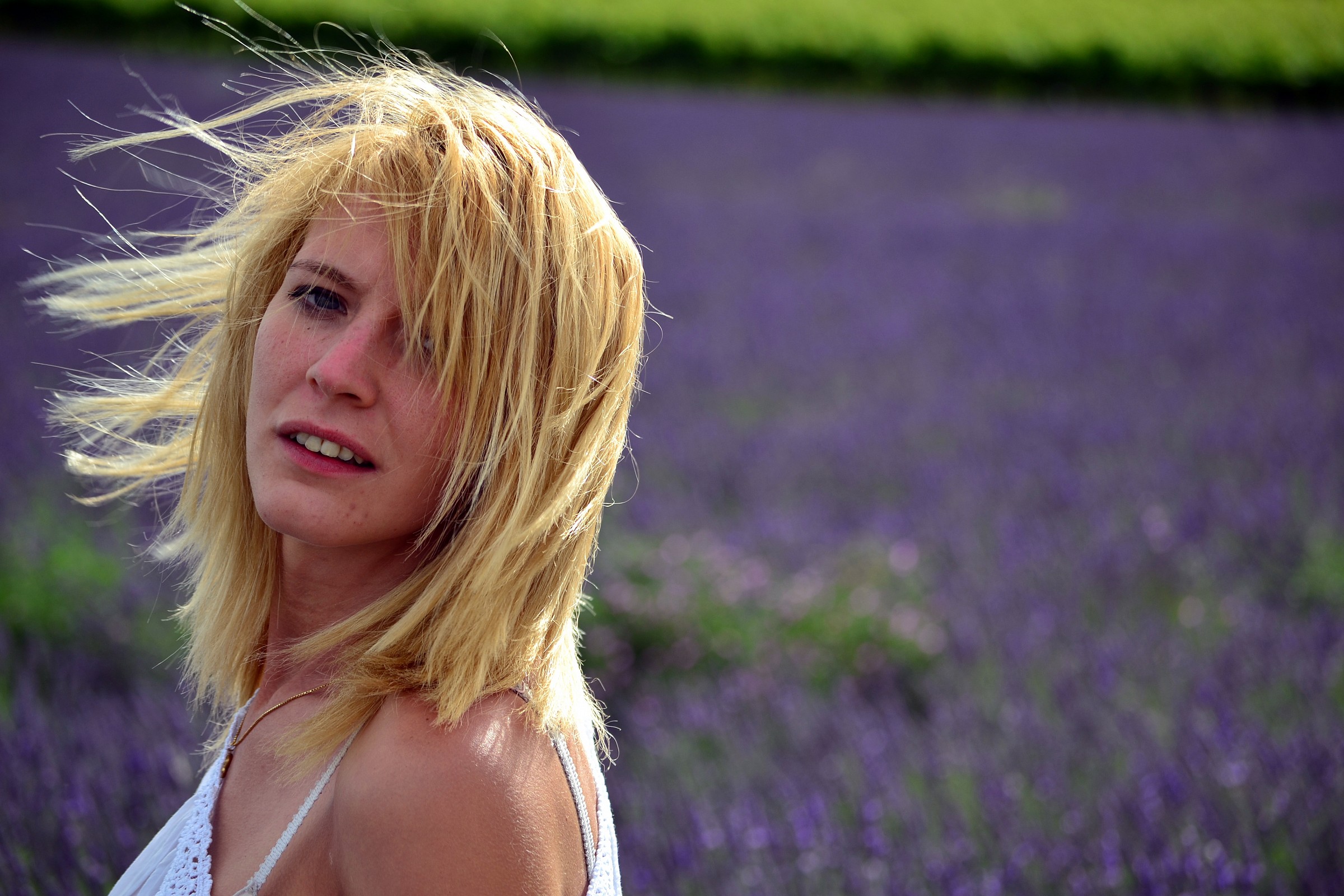 Lavender and Laundress