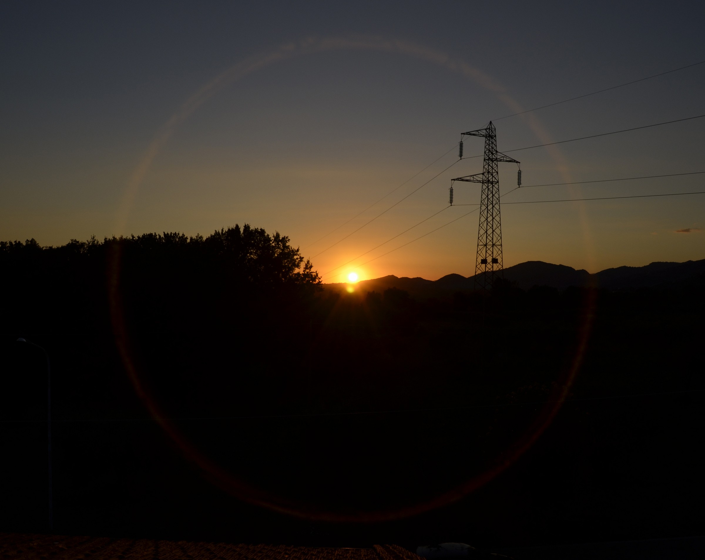 Il cerchio della vita