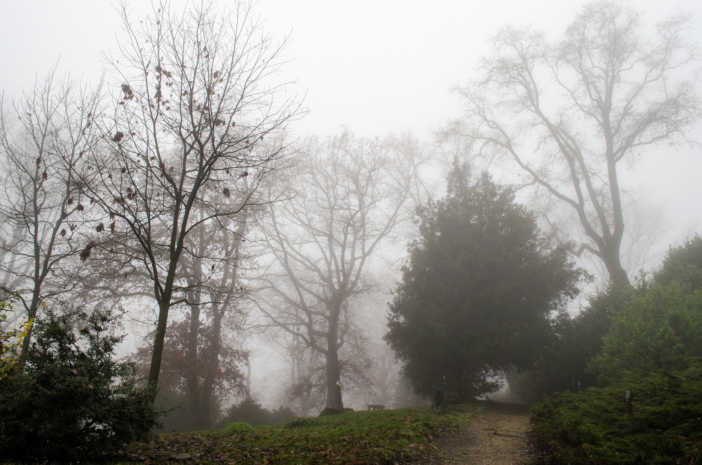 Colle della Maddalena Turin