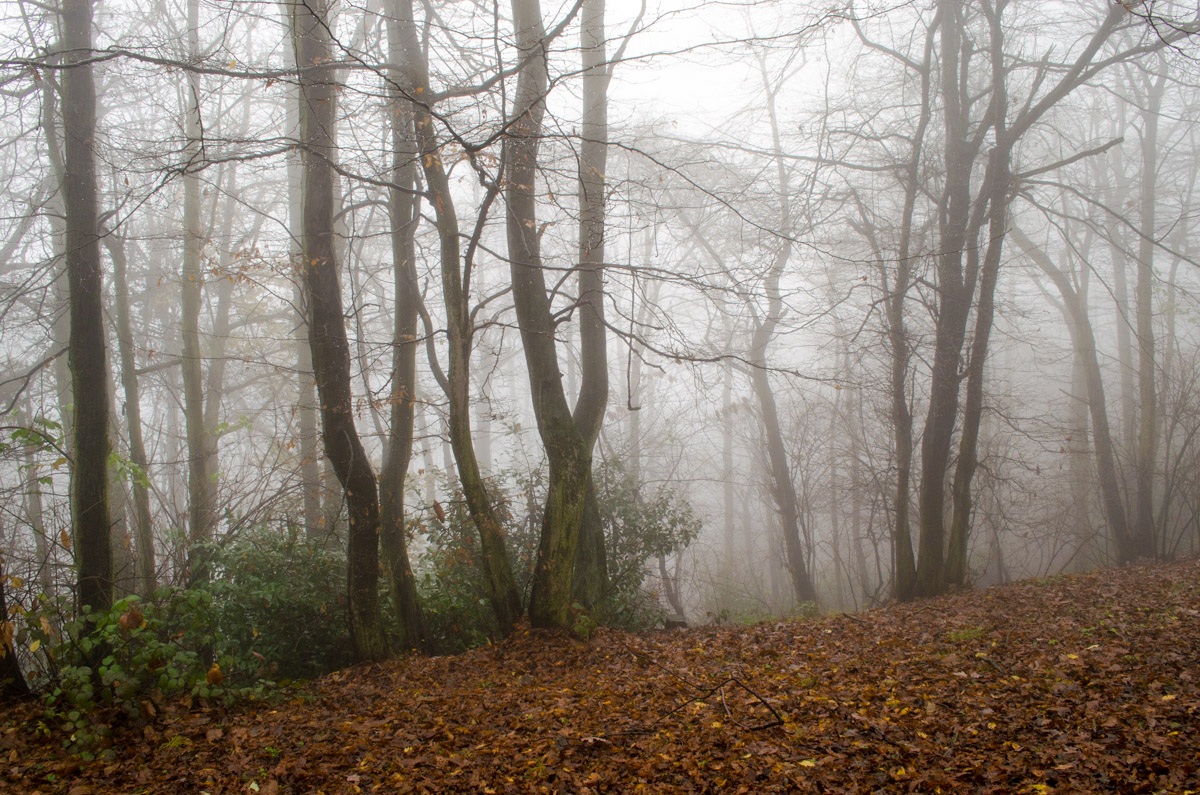 Colle della Maddalena Turin